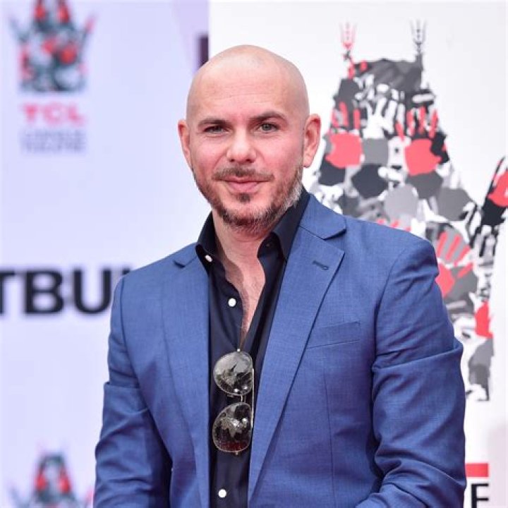 10 New Pitbull The Singer Pictures FULL HD 1080p For PC Desktop 2024