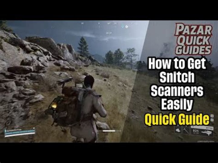 14 how to find snitch paperwork Full Guide Hermann Gmeiner Việt Tr&igrave;
