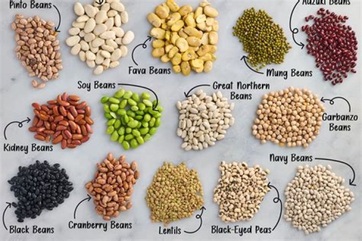 14 Popular Types of Beans, Listed and Explained Parade