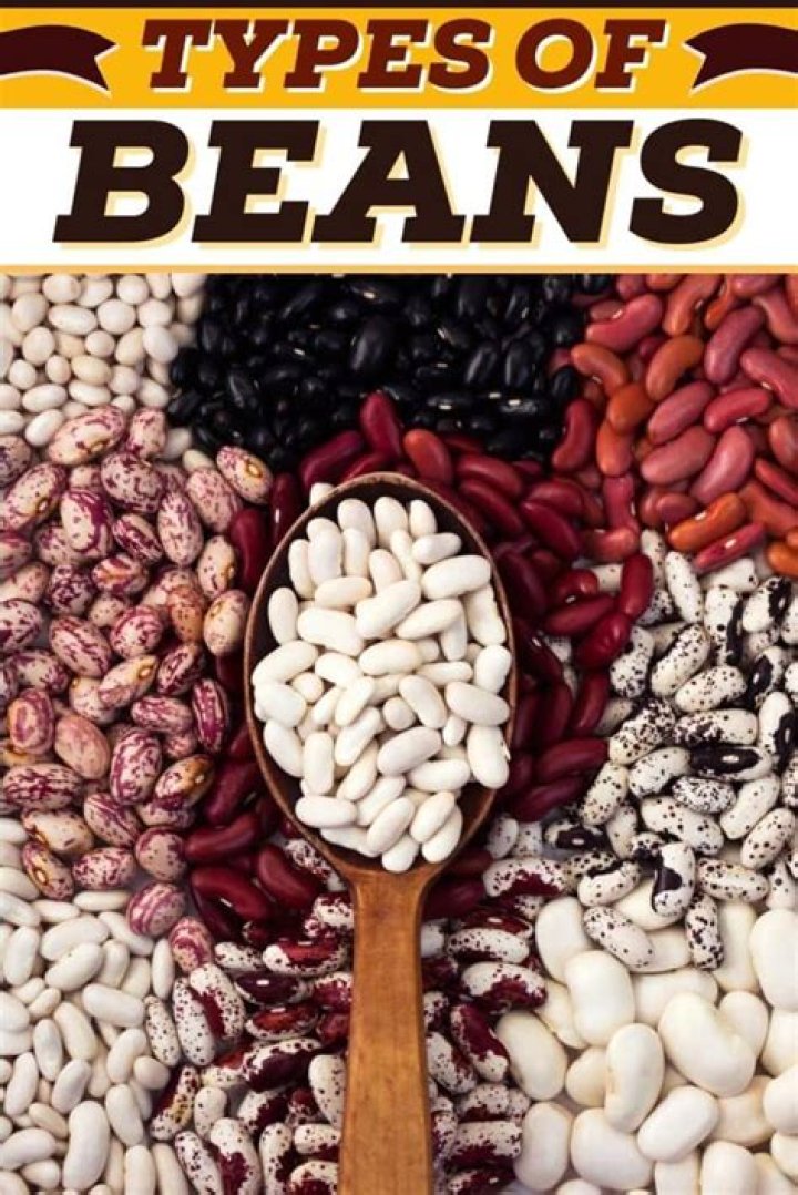 17 Popular Types of Beans (+ How to Use Them) Insanely Good