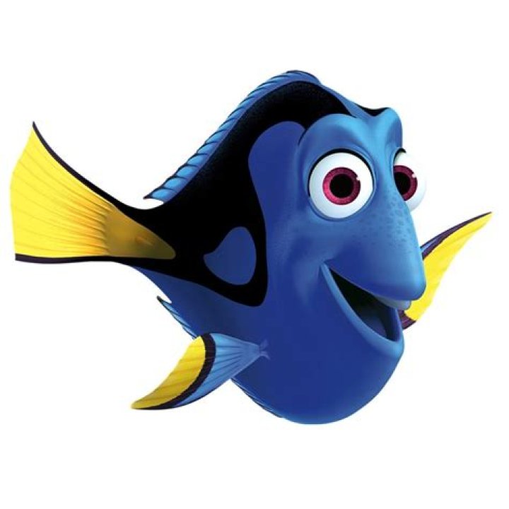 19 Facts About Dory (Finding Nemo)
