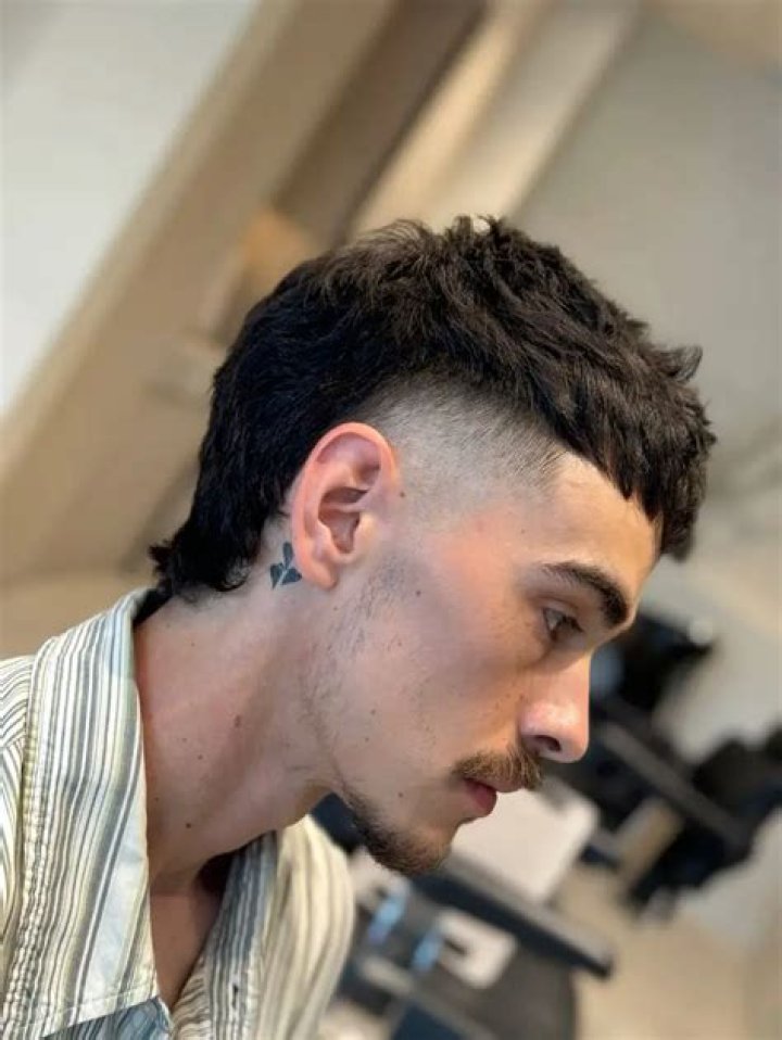 22+ modern mullet haircut GeordieAilish