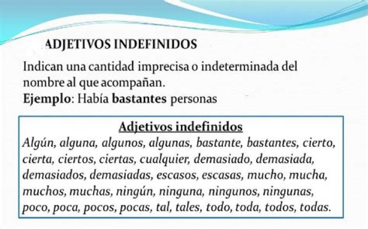 30 EJEMPLOS DE ADJETIVOS INDEFINIDOS PURO TIP Art&iacute;culos y
