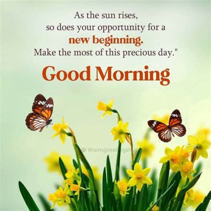 30+ Good Morning Quotes In English For WhatsApp (2020