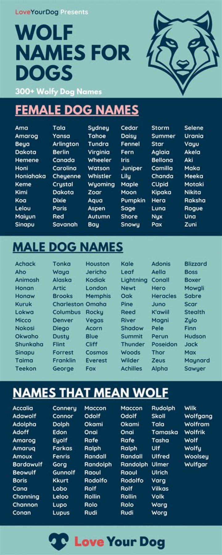 300+ Wolf Names For Dogs Alpha Dog Names For Males & Females