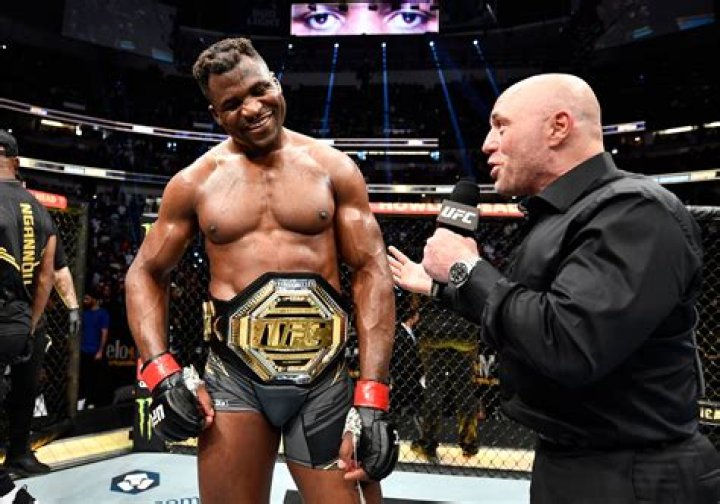 About Francis Ngannou's Real Height Brie