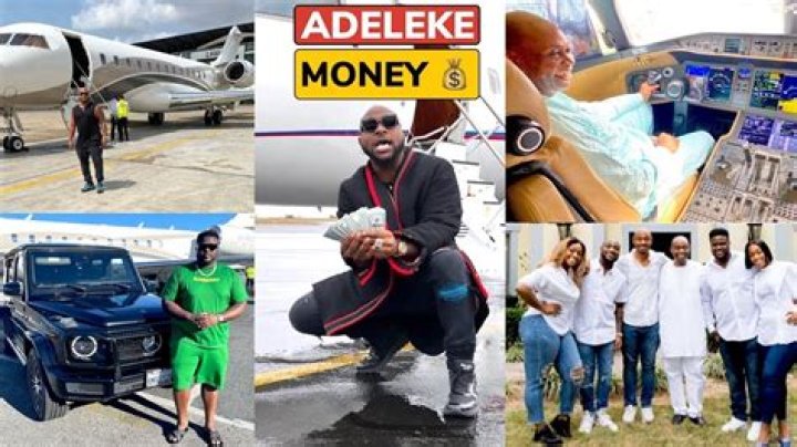 Adedeji Adeleke Net Worth 2023 Nigeria Bombshell