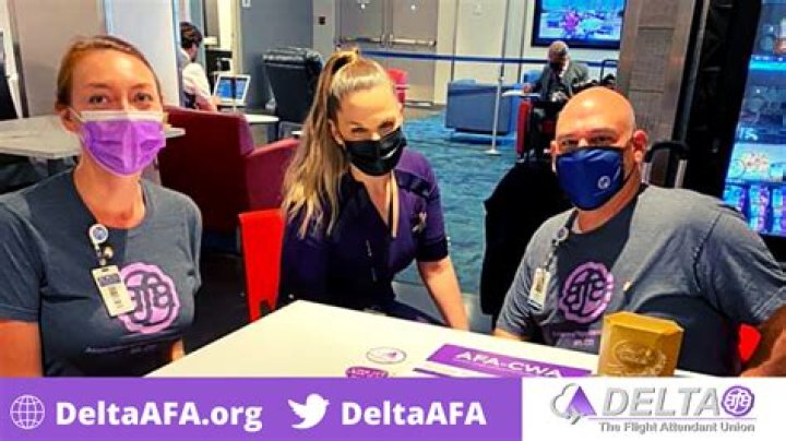 AFACWA Is Organizing Delta Flight Attendants, Again