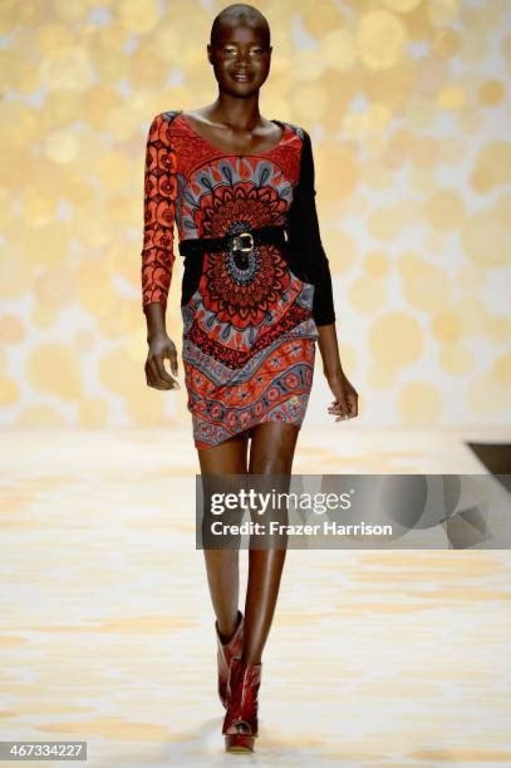 Alek Wek Fashion Model, Designer, Husband, Career & Net Worth