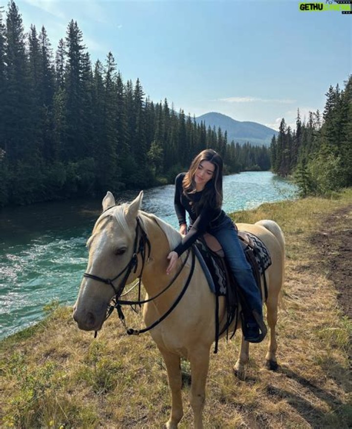 Alisha Newton Partner/Husband Who Is She Married To? Biography Lane