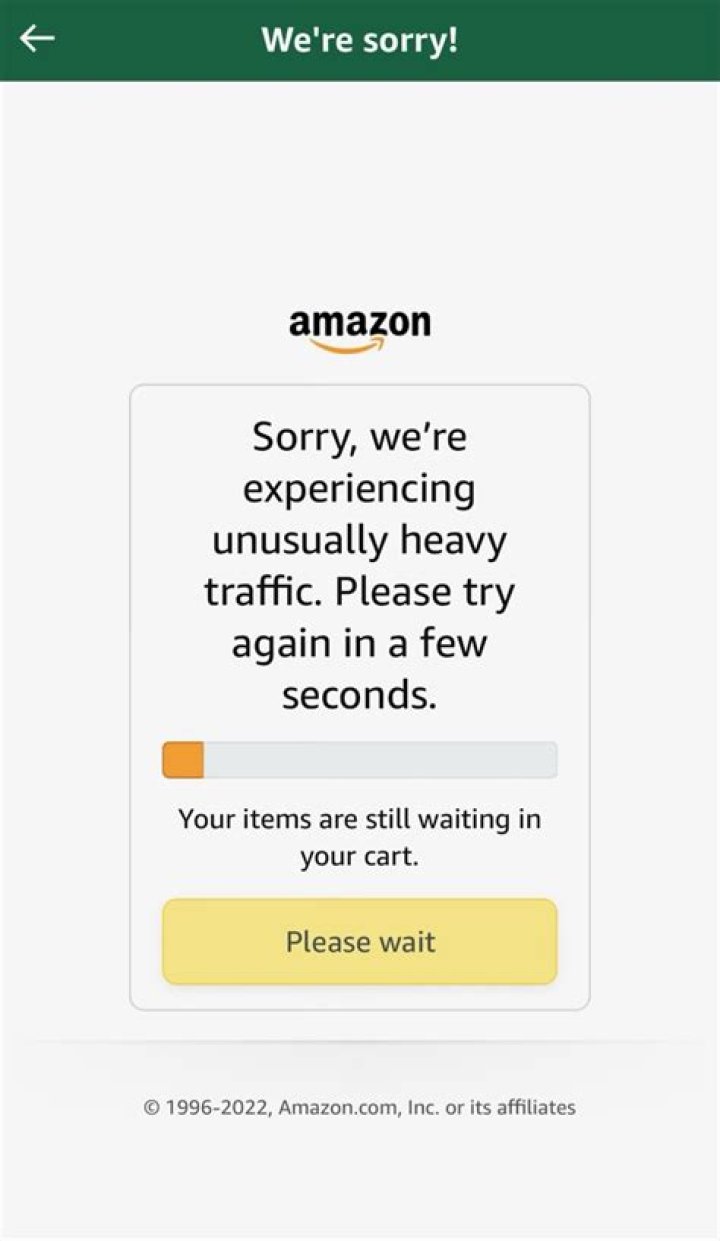 Amazon Delivery Error: Received Wrong Package