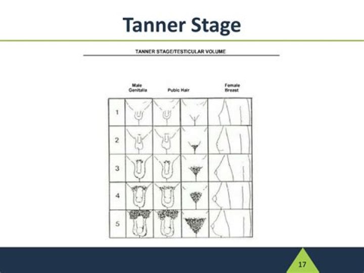 An In-Depth Look Into Tanner Wencl's Journey