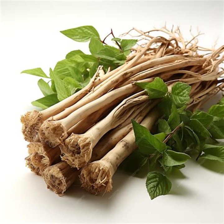 Angelica: The Most Popular Herb For Days