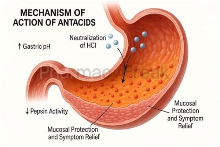Antacid = Possible Drug Interaction with Other Drugs (Most Important