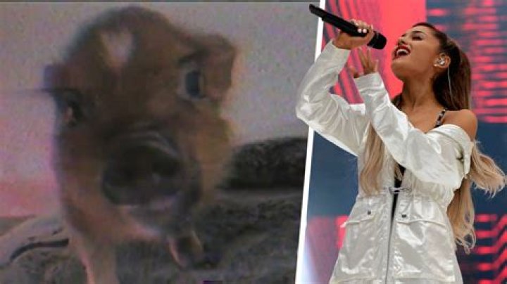 Ariana Grande is mercilessly trolled over boyfriend Ethan Slater's