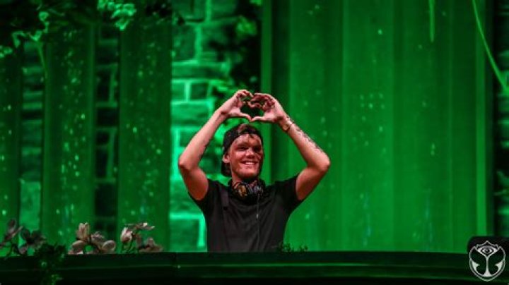 Avicii Remembered on Social 50 Chart Following Death Billboard