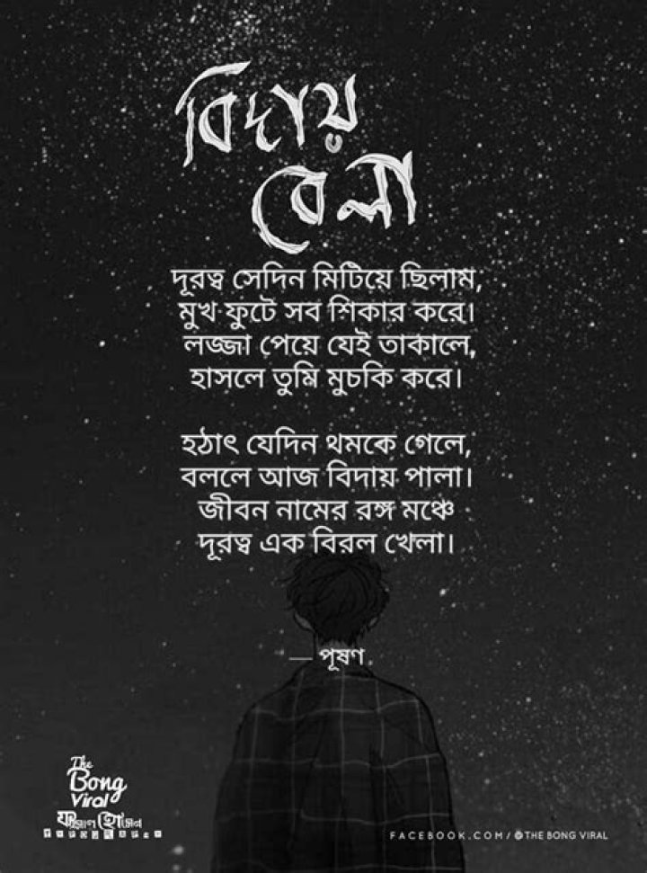 Bangla love quotes Lyric quotes Romantic love quotes Typography art