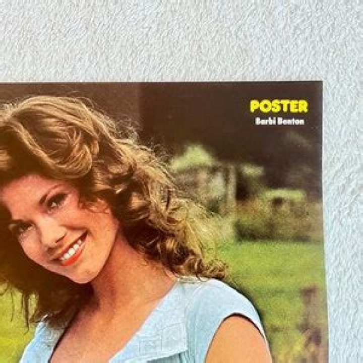 Barbi Benton Poster 1978 Swedish Poster Magazine 1970s Playboy Etsy