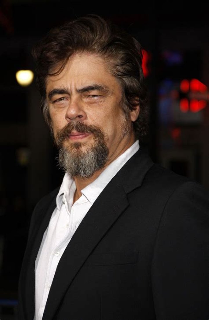 Benicio del Toro's Netflix Movie Reptile Release Date, Trailer, Cast