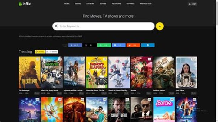 BFlix Review A Complete Guide and its Alternatives