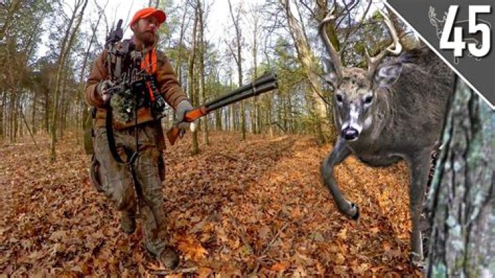 BIG WOODS DEER HUNTING!!! (Missouri Rifle Season) YouTube