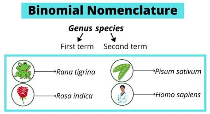 Binomial Nomenclature Definition, Rules, Examples, Advantages