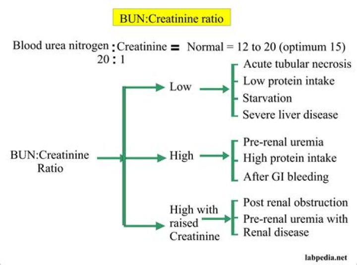 Blood urea nitrogen/Creatinine ratio (BUN/Creatinine ratio), and