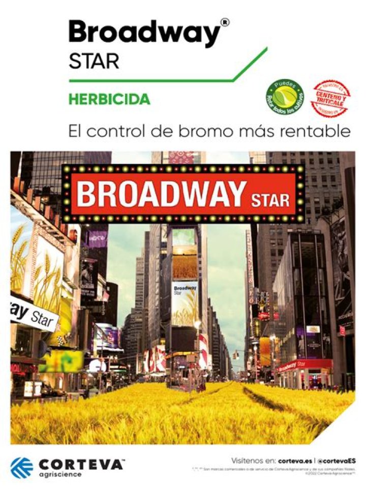 Broadway Star Proving Image 6 from 10 Things You Need to Know About