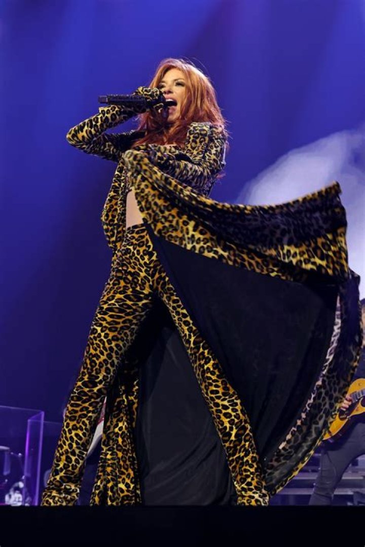 Bronzed Bombshell from Shania Twain's Sexiest Looks E! News