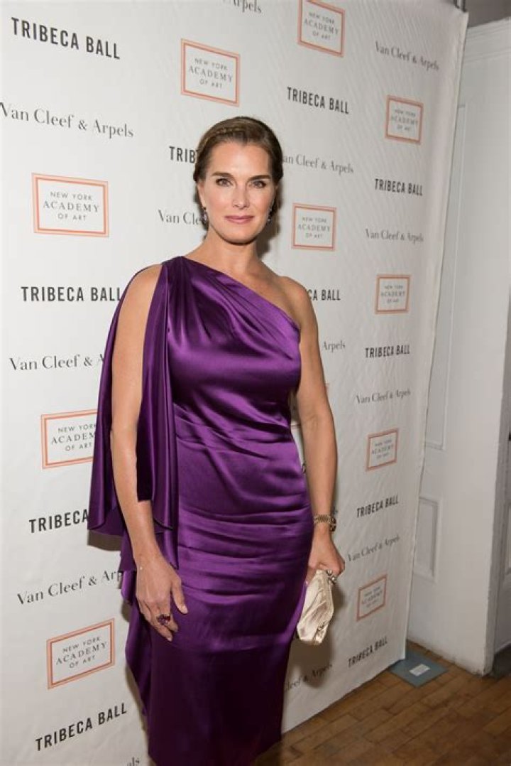 BROOKE SHIELDS at 2015 Tribeca Ball in New York HawtCelebs