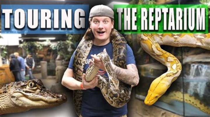 Building the REPTARIUM with BRIAN BARCZYK!! YouTube