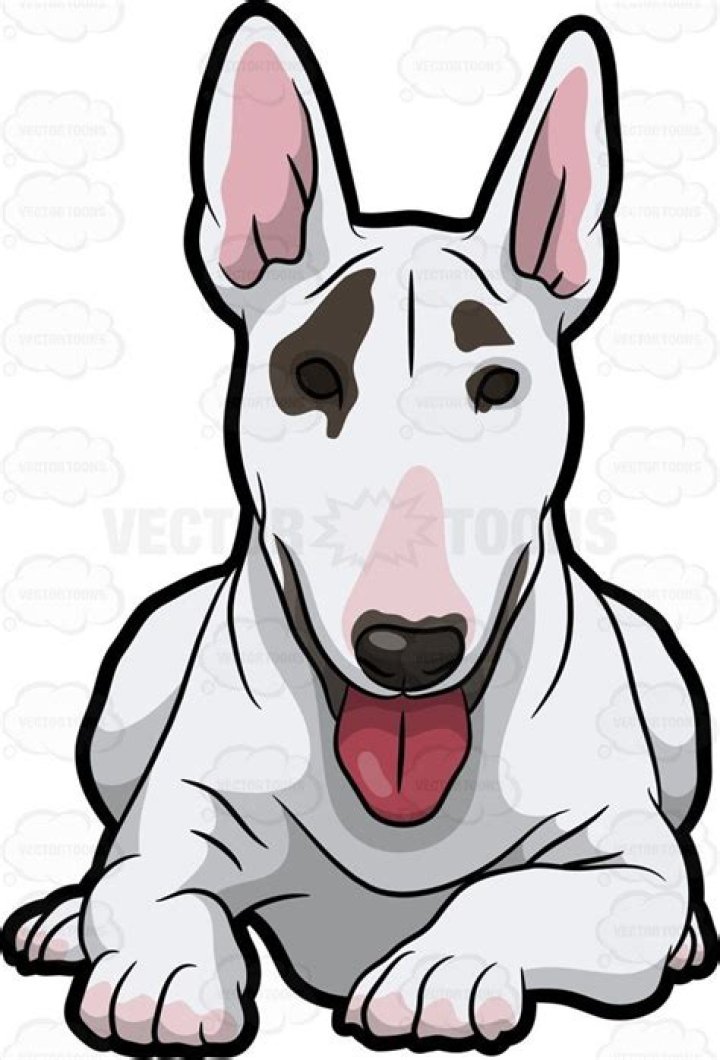 bull terrier pharrell Clip Art Library