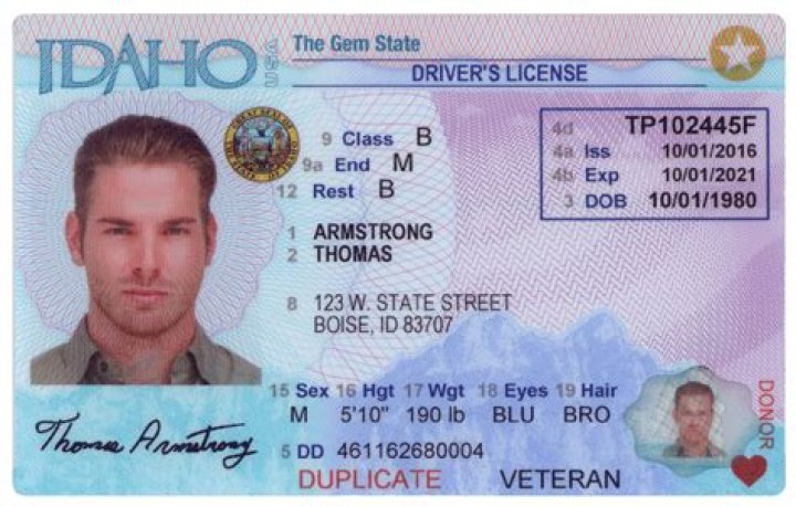Canyon County DMV: Your Comprehensive Guide To Services And Resources