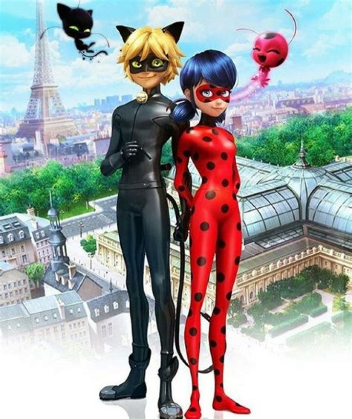 Chat noir y lady noir Miraculous ladybug anime, Miraculous ladybug