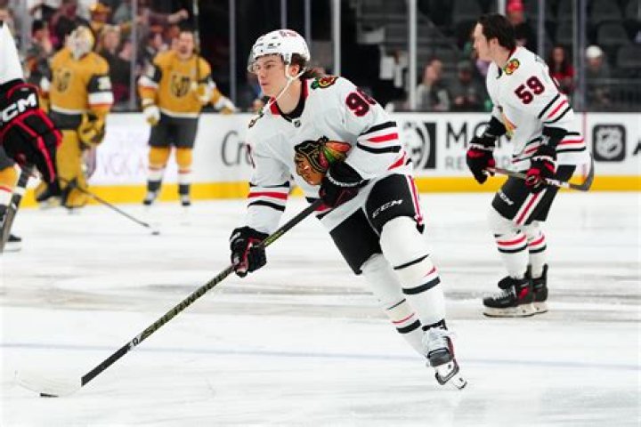 Chicago Blackhawks Superstar Connor Bedard&rsquo;s Mom Allegedly Had Sex With