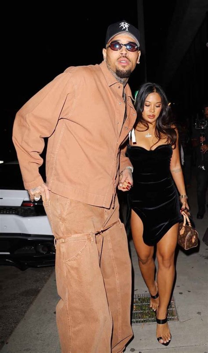 Chris Brown's Girlfriend In 2024: The Latest Rumours And Speculations