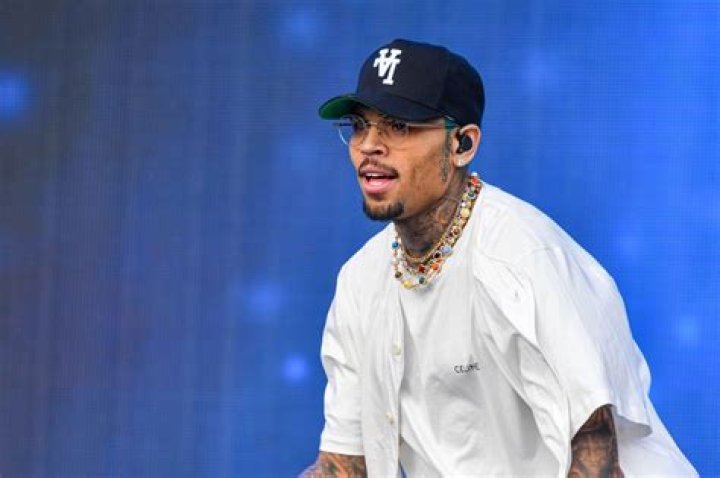 Chris Brown Net Worth In 2022 Wiki, Bio, Height, Girlfriend, Career