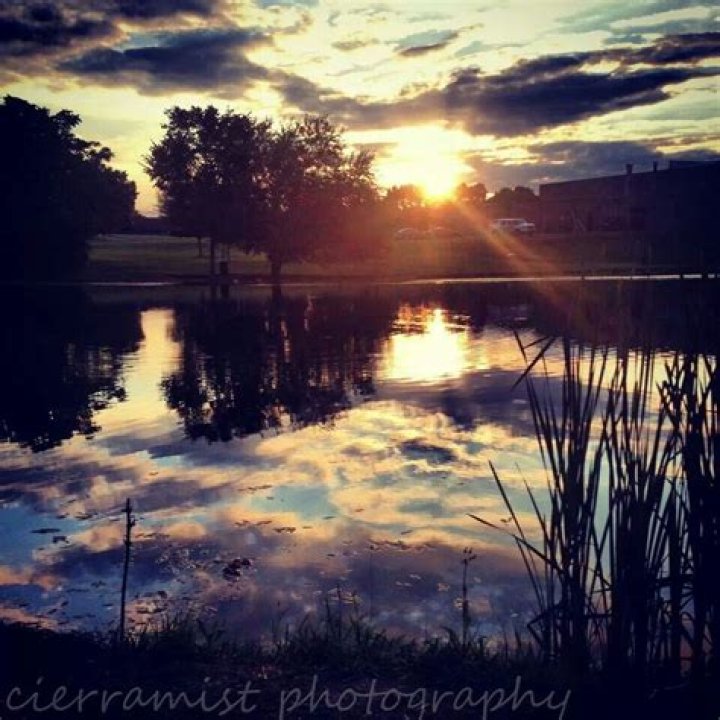 Cierra Mist photography Beautiful art, Photography, Art