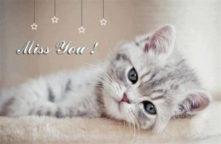 Cute Miss You Quote Pictures, Photos, and Images for Facebook, Tumblr