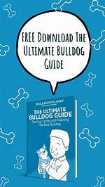 Daily Bulldog: the Ultimate Guide to Caring for Your Bulldog