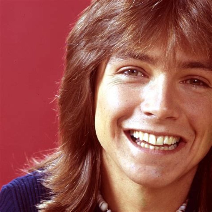 David Cassidy Net Worth Height Weight And Illness