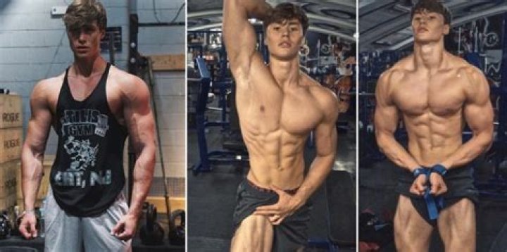 David Laid Profile Workouts and Diet Fitness Volt