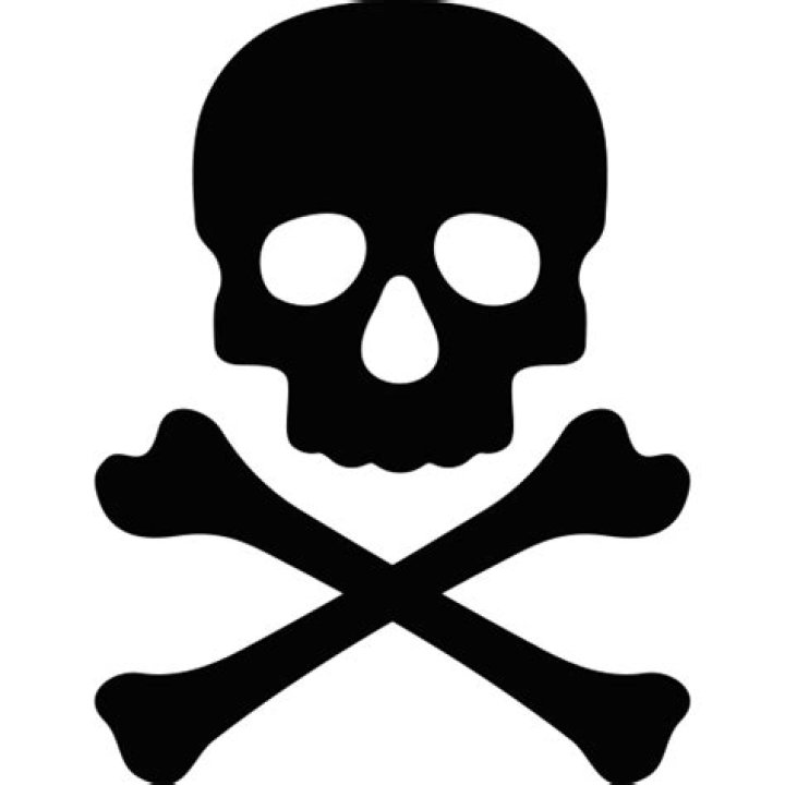 Death, crossbones, danger, dead, evil, skull, toxic icon Download on