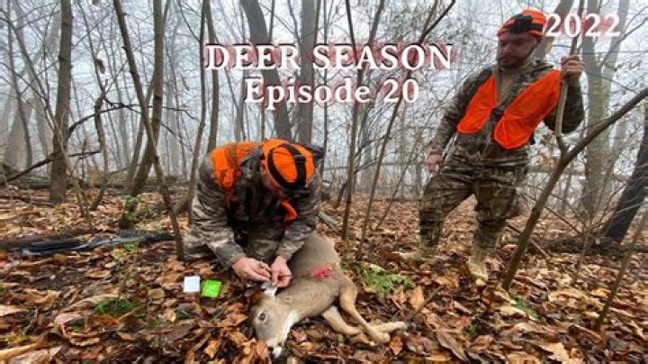 Deer Drives During Rifle Season in Southwest Missouri YouTube