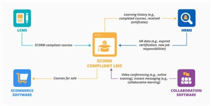 Detailed Rankings Overview For Scorm Com Ranking Chec vrogue.co