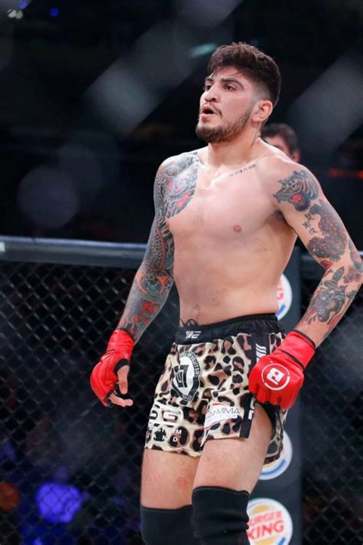 Dillon Danis 2024 Girlfriend, net worth, tattoos, smoking & body facts