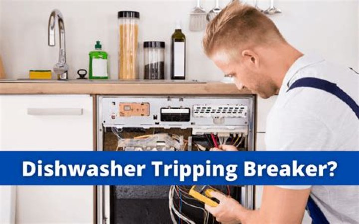 Dishwasher Keeps Tripping Breaker? 5 Easy Checks