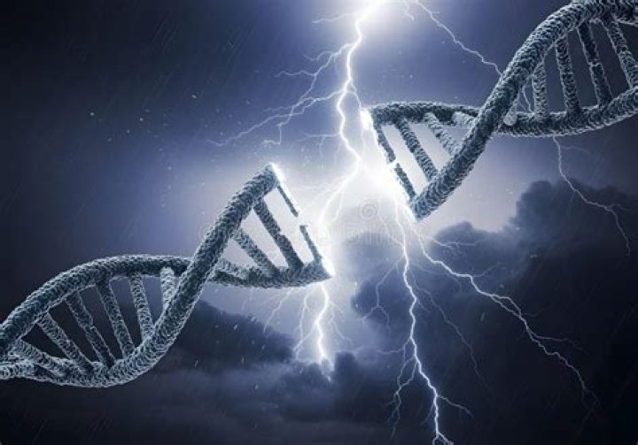 DNA that cracked 'Golden State Killer' case came from genealogy