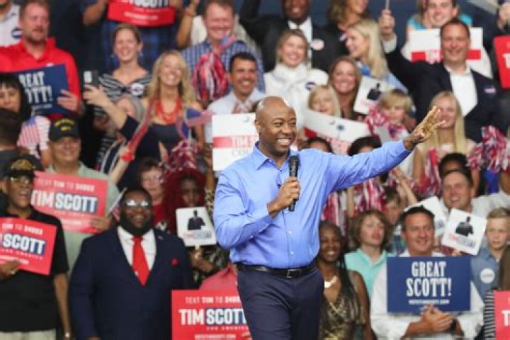Does Tim Scott Have Any Siblings? Detectmind