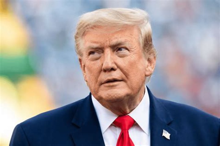 Donald Trump's Lawyer Mocked Over Bizarre Document Folder Excuse Newsweek